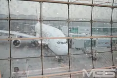 「野性の王国 アフリカ原住民と生中出しをヤる」 VOL.1の14番目のサンプル画像