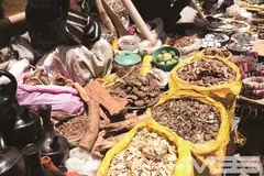 「野性の王国 アフリカ原住民と生中出しをヤる」 VOL.1の15番目のサンプル画像