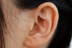 AV女優の恥ずかしい局部アップ 裸のコレクション 春菜はな 紗々原ゆり 乙葉カレン 心実るな 吉根ゆりあの10番目のサンプル画像