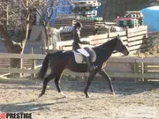 シロウトハンター2 9のサムネイル画像