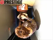 TOILET.CLUBの5番目のサンプル画像