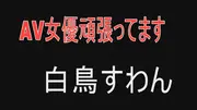 AV女優頑張ってます 白鳥すわんのサムネイル画像