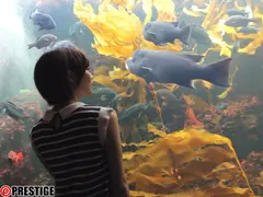 ポルノスター 鈴村あいりのサムネイル画像