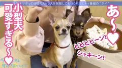 青森から上京したてのハタチの田舎娘と東京観光！純朴な青森弁なのに、SEXでガチ痙攣イキの衝撃！！ 「初体験は…」「13歳からSEXに勤しんでいた」などなど衝撃的すぎる性遍歴も超必見！！：今日、会社サボりませんか？in下北沢の15番目のサンプル画像