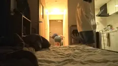 百戦錬磨のナンパ師のヤリ部屋で、連れ込みSEX隠し撮り 054のサムネイル画像