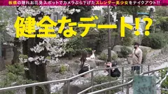 超かわいいカメラ女子を発見！！桜とナンパの穴場(意味深)の板橋JDをガチ軟派！！さっそく極みスレンダー美ボディチェックで180°大開脚可能な柔らかエチ体質と発覚！！それじゃあする事は一つでしょ！！大開脚騎乗位で生マン直突きで同時連続イキSP！！の6番目のサンプル画像