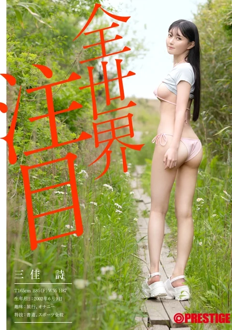 三佳詩のハイラウト画像-6