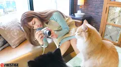 愛音まりあ 8時間 BEST PRESTIGE PREMIUM TREASURE vol.07 本格ドラマ作品から密着ドキュメンタリーまで…愛音まりあの魅力が詰まった永久保存盤！！のサムネイル画像