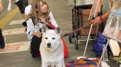 マジ軟派、初撮。 1180のサムネイル画像