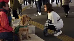 マジ軟派、初撮。 1265のサムネイル画像