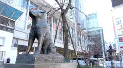 マジ軟派、初撮。 1774 配信者のフリして街行く学生に出演交渉！言葉巧みにHな動画の撮影へと誘導し…？ハリのある美巨乳(Fカップ)が素晴らしすぎる！ジュボジュボ音を立てるドスケベフェラでいきり勃ったチ●ポにヒンヒン言わされ快楽の渦へ！のサムネイル画像