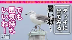 【透明感10000%美少女】ショートカットが可愛い過ぎる五つ星ホテル従業員を彼女としてレンタル！口説き落として本来禁止のエロ行為までヤリまくった一部始終を完全REC！！ウブカワ過ぎる浴衣デートを楽しんだ後はホテルで濃厚いちゃラブSEX！！超清楚系かと思いきや、蓋を開けてみれば首超ドMちゃんでした！！エロカワ過ぎるメイドコスで、激イキしながら潤んだ瞳で中出し懇願！！さらに二回戦目の全裸セックスもばっちり収録！！の10番目のサンプル画像