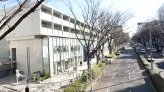 マジ軟派、初撮。 1605 表参道を歩くOLさん…かと思いきやめっちゃ若見えする人妻だった！年下の塩顔男優に発情して即堕ち！可愛らしい喘ぎ声で何度も絶頂を繰り返す！のサムネイル画像