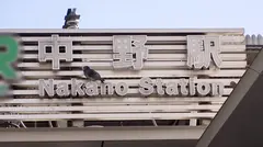 マジ軟派、初撮。 1615 クラシックバレエ講師をナンパ！身体が柔らかすぎる彼女にセックスでバレエ技を披露してもらいました！いつもと違う角度のピストンで知的体験で気持ちよすぎますwwwのサムネイル画像