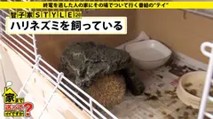 家まで送ってイイですか？ case.117 大阪上陸！浪速のGカップ爆乳伝説！⇒経験人数200人！SEXをして人間性をみる女！⇒暴発寸前、うねる高速マッハ騎乗位！⇒男が喜ぶ下着100着！エブリデイ勝負下着！⇒口の中で何かが吸い付く究極フェラ！⇒チ〇コ博士！チ〇コのすべてを知りつくす！⇒肉食系になった原因…結婚間際の破断…一体何がの11番目のサンプル画像