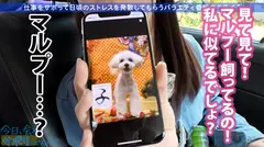 【Fカップ20歳発情中】中野で働く美少女とサボり旅へ！温泉で股間擦り付けてくる発情っぷりはヤバ過ぎw即SEX突入でご奉仕&ハメ潮祭り開催！ヤり盛りの性欲は無限【ねぇもっとしよ？♪】：今日、会社サボりませんか？12in中野の7番目のサンプル画像