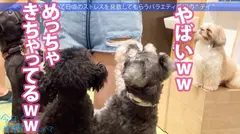 育ちのいいお嬢様と行く東京周遊！仕事をサボって遊びまくり、日々のストレスからエスケープ！純心無垢なカフェ店員、おぢからのセクハラにもエロい質問にもニコニコ神対応！「エッチ好き？」→「はい！」笑顔で即答されたのでありがたく中出しにおかわり2回戦に頂戴しちゃいました！：今日、会社サボりませんか？64 in渋谷の16番目のサンプル画像