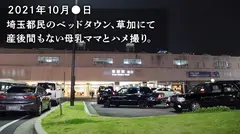 【推定母乳量1.4L噴射!!!】産後、感度が上がりすぎた爆乳妻が育児の合間にAV応募!国宝級のデカ乳をブルンブルン揺らして悶絶絶頂!!! at 埼玉県草加市 草加駅前のサムネイル画像