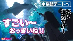 【推定Iカップ！？男の全てを包みこむ癒し系マシュマロ超爆乳！】以前マッチした相性抜群の爆乳セフレちゃんと水族館デート！デート中から主張しまくるデカパイにムラムラが止まらずホテイン！男を虜にさせる爆乳を揉んだり挟んだりやりたい放題！！！デカチンをぶち込まれ、ゆっさゆさ乳を揺らしながらたまらずセルフピストンで絶頂！最後は可愛い声で中出し懇願、出した後も「ナカで精子かき混ぜて…」って勃起が止まらず2回戦へ！！！の4番目のサンプル画像