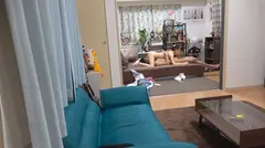 百戦錬磨のナンパ師のヤリ部屋で、連れ込みSEX隠し撮り 175 罰ゲームでキスを迫ればそのまま流され...の8番目のサンプル画像