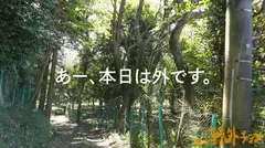 【人妻と外でヤッたらどうなる？】AVにちょーっと興味がある、色白巨乳奥様と秘密の場所へ来ました。奥さん、服気合い入れすぎて、乳モロ見えっすよ！！「本当にここ誰も来ないですよね？」って最初は戸惑っていたみたいですが、ち●ぽ挿れたらしっかりアンアン喘いでました…そんなに声出したら人、来ちゃうかもですねぇwww【全国人妻野外チョメ＃001】のサムネイル画像