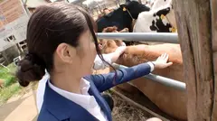 この女優の名前教えて！！ #そっくりさん 001 SNSで瞬く間に話題になった謎の激カワ！神スタイル！高身長の美少女が中出し、顔射でハメ倒されSPの12番目のサンプル画像