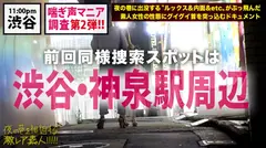 『月曜から夜ふかし』で取り上げられ、瞬く間に〝検索ワード上位〟に躍り出た『ホテルから漏れ聞こえる喘ぎ声マニア』のおかわり検証！！渋谷は神泉駅周辺のホテル街に〝漏れ声〟を聞こうと足しげくやって来る変態ムッツリ女子達の、エロに対する執着がとにかくハンパない…！！第1弾配信(300MIUM-397)から比べてみても、この辺りをウロつく変態女子のエロポテンシャルは、ちょっと異常です…www：夜の巷を徘徊する〝激レア素人〟！！ 24のサムネイル画像