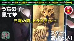 【甘えんぼネコ娘と濃密交尾】モバイルバッテリーを借りて猫大好き女子とパコパコSP！！猫カフェで大盛りあがり！「甘えたいです」ホテルでイチャイチャ玩具プレイ！スケベな発情猫娘と種付け中出しで徹底交尾ッ！！！の5番目のサンプル画像