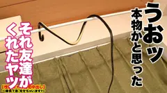 【Hcupパイズリ女神】渋谷で捕獲したH乳ヤリマンギャルの自宅に突撃！！とっておきの勝負下着で悩殺ファック！！勝負下着に収まりきらないハミ乳が過去最強レベルにエロい！圧倒的乳圧パイズリで精子を搾り取る小悪魔ギャルは、ひとたびハメればひたすら絶頂を繰り返す超絶敏感イキまくり体質！！性豪3人がかりでピストンしまくりキツマンに連続中出し！！！【性豪ギャル自宅中出し】勝負下着、見せちゃいます！vol.21の13番目のサンプル画像