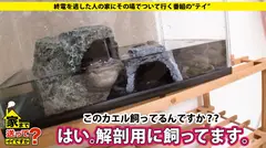 家まで送ってイイですか？ case.96 超エリート才色兼備！博士を目指す研究員登場！⇒「私毎日男に飢えてるんです！」日本最高学府の逆ナンパ術！⇒いけないアメリカ留学！！日々アメリカンチ〇ポを喰い尽くす！！⇒臓器萌え“解剖マニア”⇒チ○ポの飽くなき探究心⇒リケジョが科学するセックスと美の関係⇒心からイク！理数では分析できないパラドックス！衝撃のセックス！涙の激ピストンの5番目のサンプル画像