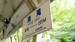 マジ軟派、初撮。 1401 高尾山で登山女子を登頂！2つそびえるおっぱいに緩やかな傾斜が続くお尻に興奮！大洪水のオマ●コに予測不可能な腰のうねり！女というドエロい山を制覇せよ！のサムネイル画像