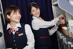 内緒でエグい接客してくれた美人CAをホテルに誘って生ハメしたら何度も求めるヤリマンだった VOL.6のサムネイル画像