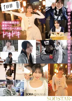 おもちゃ・大量顔射・初3P・オイルエステ もっと気持ち良くなるために初めての一人旅 3泊4日の性感開発トラベラー 新川空 あらかわそらのサムネイル画像