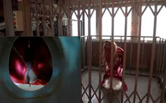 (羞恥)ババコス！(BBA)松坂◯子似の肉体を持て余しすぎた奥さんを惣流ア◯カラングレーにしてグリグリにしたった件【中田氏】後編 三雲ゆり子奥様 47歳の11番目のサンプル画像