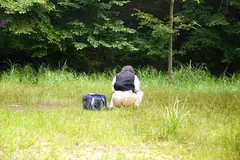 野ションする女子の11番目のサンプル画像