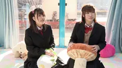 みきちゃんとゆりこちゃん マジックミラー号 初4P！のサムネイル画像