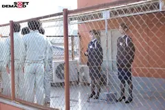 少年看守レディのお仕事 中出し射精管理更生施設 橘京花 七碧のあ 秋元さちかのサムネイル画像