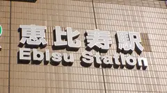 マジ軟派、初撮。 1488 恵比寿で見つけた色気溢れるモデル級美人をホテルに連れ込み！彼氏無しセフレ無し美女が久しぶりのセックスで淫靡に乱れる！！のサムネイル画像