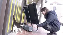 人妻湯恋旅行 特別篇 04のサムネイル画像