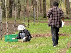 田舎のお母さんナンパ スペシャル版 240分 11名 石野祥子 中山香苗 岩下千恵 山本麗子の18番目のサンプル画像