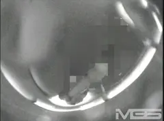 丸見えウォッシュオナニー トイレで喘ぐエロ主婦編の10番目のサンプル画像