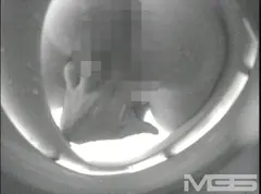 丸見えウォッシュオナニー トイレで喘ぐエロ主婦編の11番目のサンプル画像