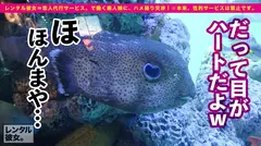 【芸能人級！攻守最強Fカップボディ】美スタイル現役JDを彼女としてレンタル！口説き落として本来禁止のエロ行為までヤリまくった一部始終を完全REC！！水族館&プールデートを楽しんだあとは、ホテルでエロコスSEX&全裸オイルSEX！！スラッとした体幹にボリューミーな柔乳Fカップを搭載した激エロボディが超シコい！！しかもヨダレ垂らしてグチュグチュ素股しながら生ハメおねだりする超絶どすけべ娘！！ルックスは芸能人級なのに、めちゃくちゃ絶倫だぞ！！！！の5番目のサンプル画像