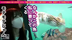 【芸能人級！攻守最強Fカップボディ】美スタイル現役JDを彼女としてレンタル！口説き落として本来禁止のエロ行為までヤリまくった一部始終を完全REC！！水族館&プールデートを楽しんだあとは、ホテルでエロコスSEX&全裸オイルSEX！！スラッとした体幹にボリューミーな柔乳Fカップを搭載した激エロボディが超シコい！！しかもヨダレ垂らしてグチュグチュ素股しながら生ハメおねだりする超絶どすけべ娘！！ルックスは芸能人級なのに、めちゃくちゃ絶倫だぞ！！！！の6番目のサンプル画像