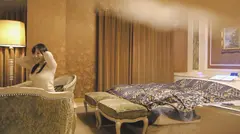 琴のサムネイル画像