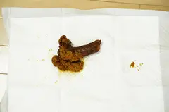 ぽっちゃり美女はよく食ってよく出す！ 餅田ササピリカの7番目のサンプル画像