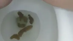 ぽっちゃり美女はよく食ってよく出す！ 餅田ササピリカの10番目のサンプル画像