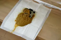 ぽっちゃり美女はよく食ってよく出す！ 餅田ササピリカの17番目のサンプル画像