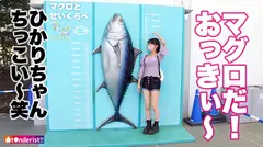 【このギャップがどエロい！清楚系の透明美少女はHになると大豹変！！！】待ち合わせから常に笑顔○めっちゃいい子で可愛すぎるJDとラブラブデート♪からのッ～ホテイン即SEX！二人きりになった途端、スケベな目つきに豹変…全身クネらせチ●ポを求める！妖艶な上目遣いでねっとりフェラ！20歳の弾ける色白美乳&ぷり尻に我慢出来ずに膣奥まで全力ピストン！イキそうになると乳首カリカリしながら自ら腰振り騎乗位！清楚な見た目から想像出来ない乱れっぷりに大大興奮！の5番目のサンプル画像