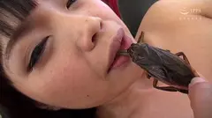 ゲテモノ喰い 昆虫トランス 衣織の8番目のサンプル画像